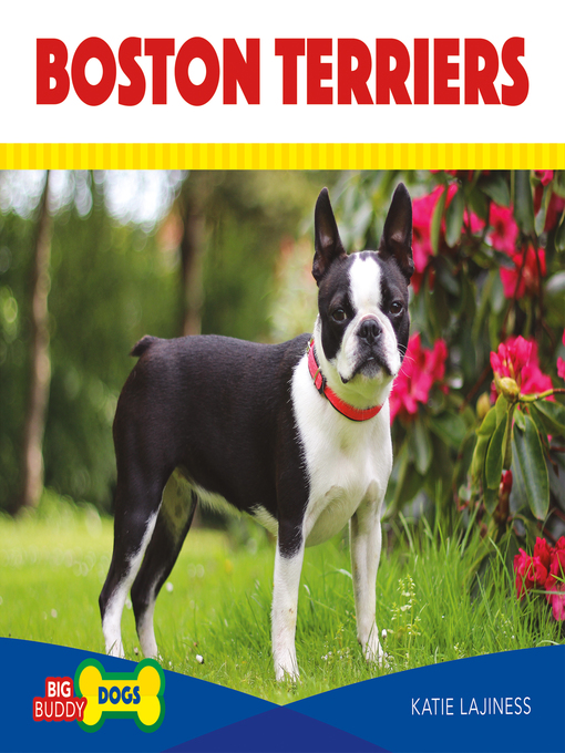 Title details for Boston Terriers by Katie Lajiness - Available